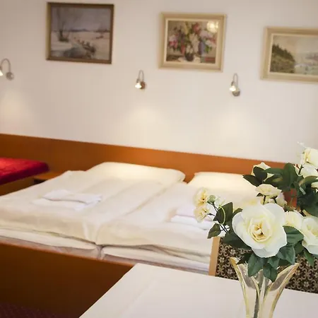 Guest house Betty 3*